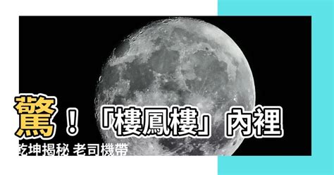 樓鳳樓是什麼|小姐與雞頭分工明確、彈性且隱密的「旅遊樓鳳」